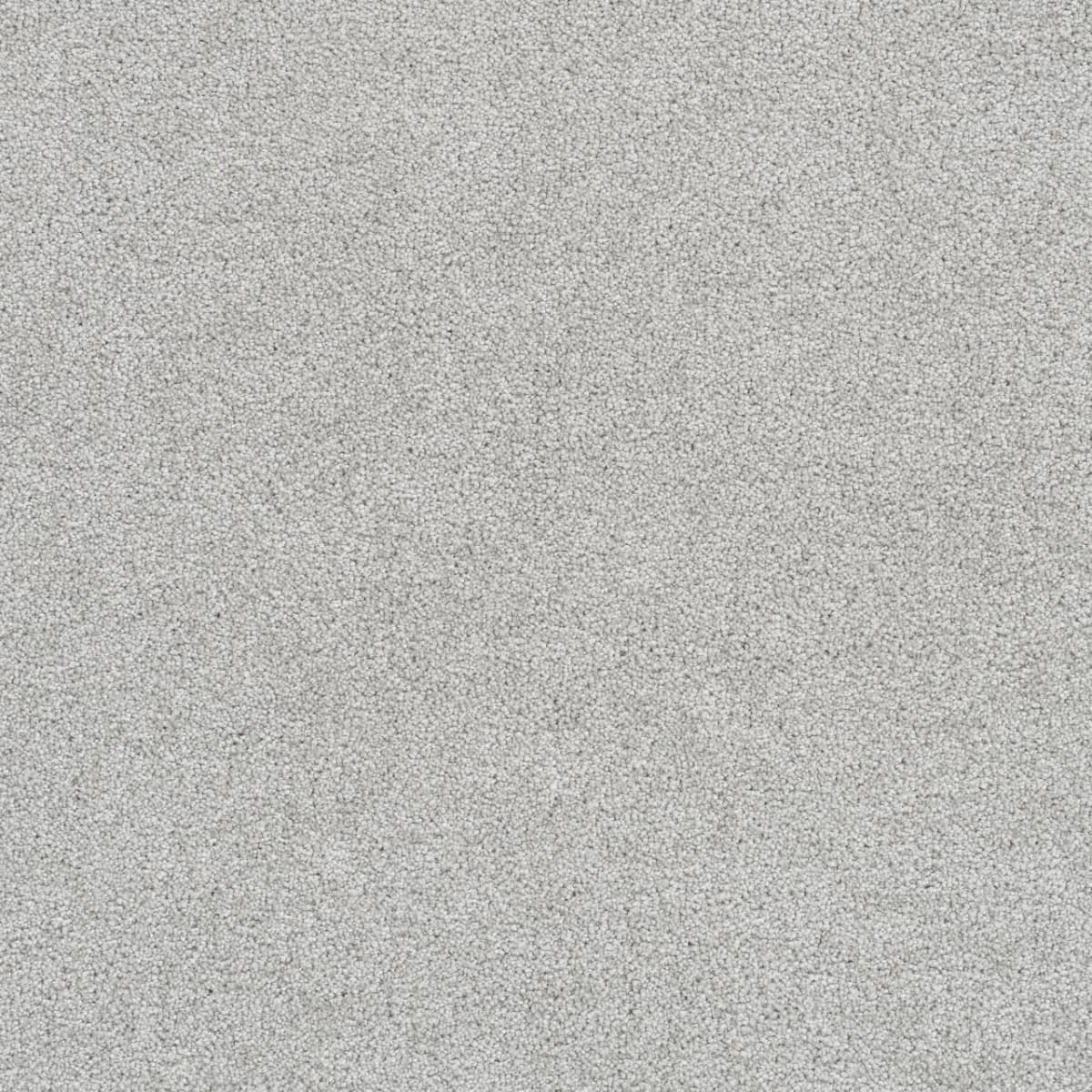 Cape Cod Morning Dove