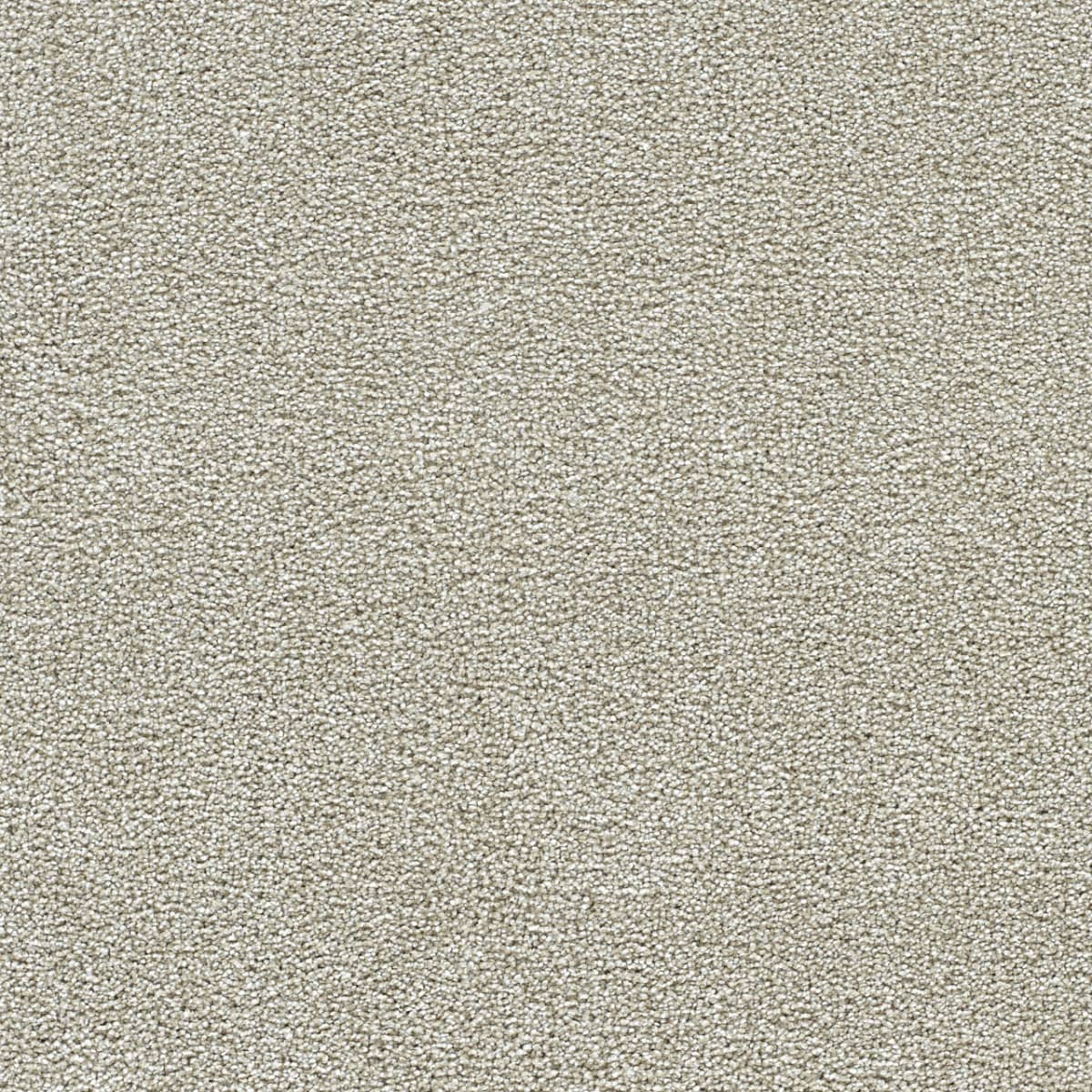 Breakview I Anaheim Breakview I Carpet flooring