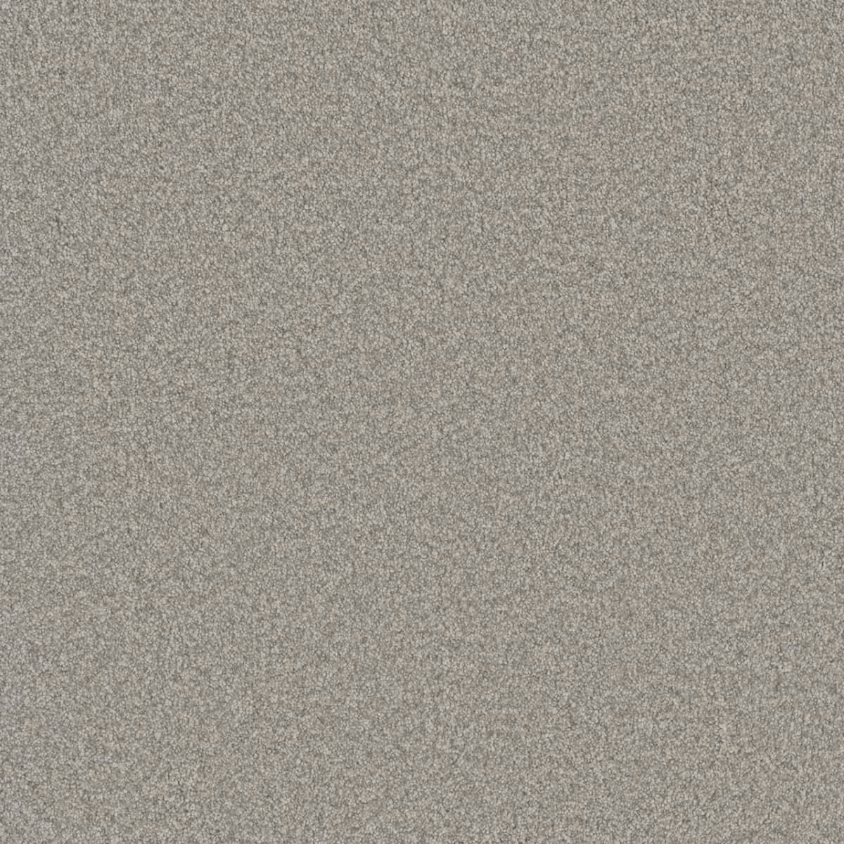 Blazer II Polar Cap Blazer II Carpet flooring