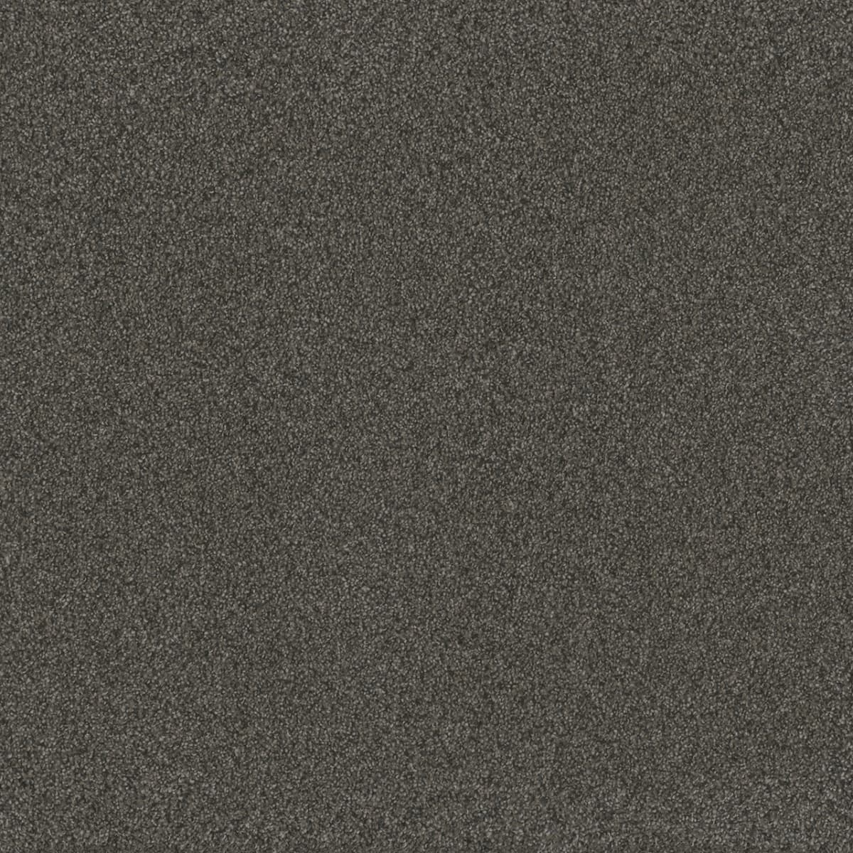 Blazer II Smoky Quartz Blazer II Carpet flooring