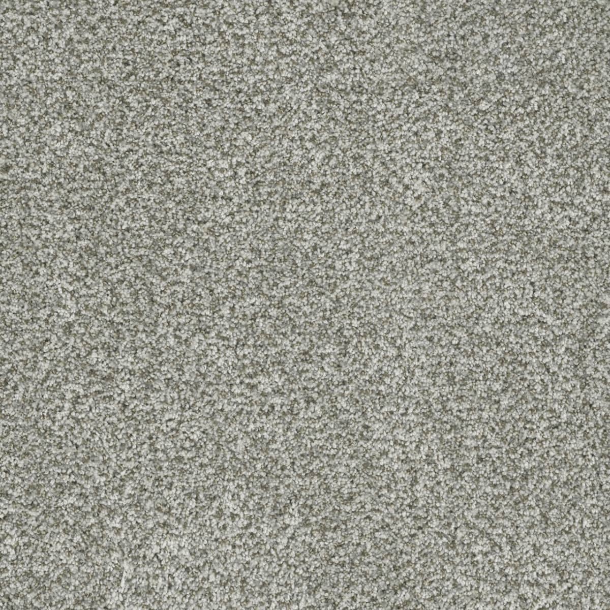 Brazen I Purity Brazen I Carpet flooring