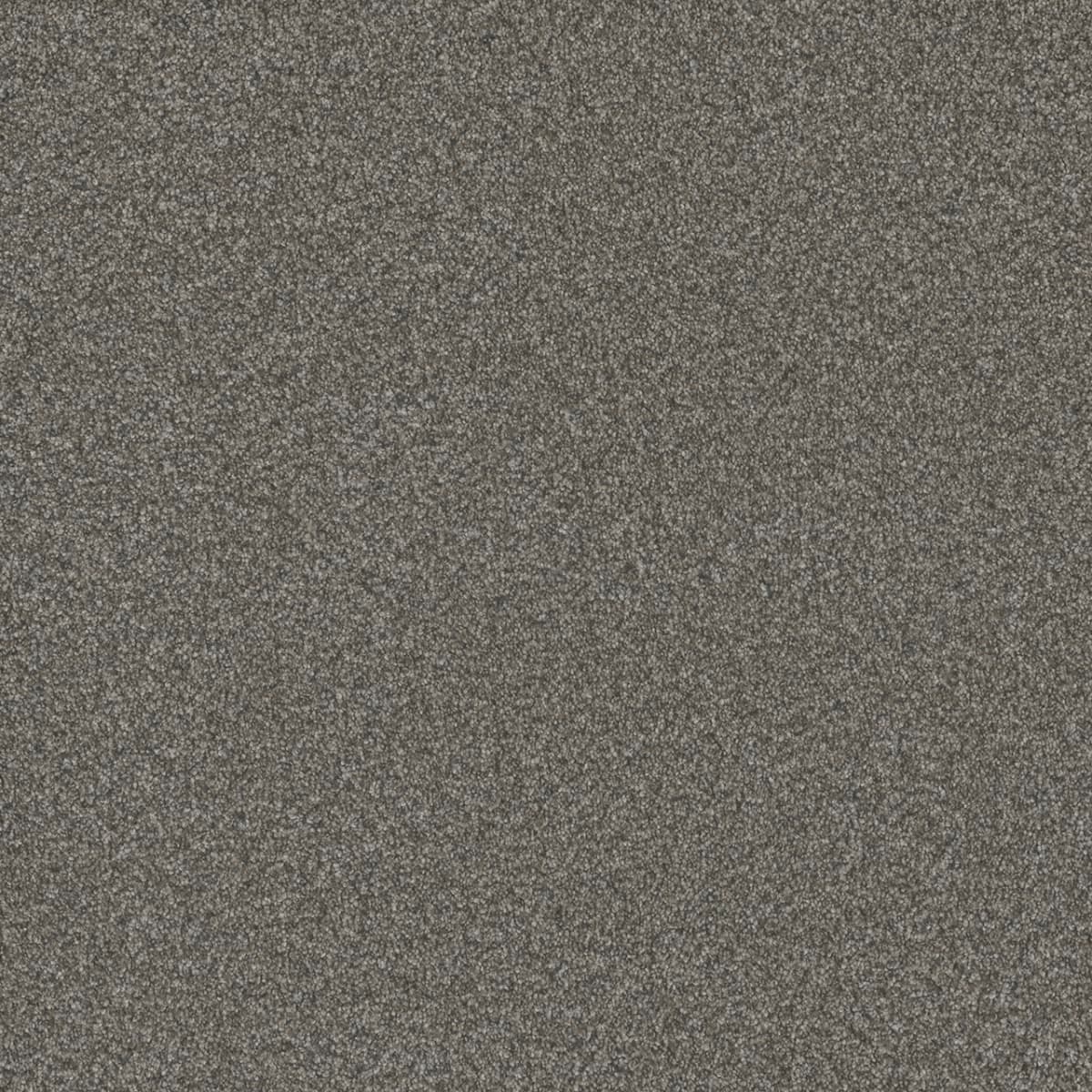 Blazer II Millstone Blazer II Carpet flooring