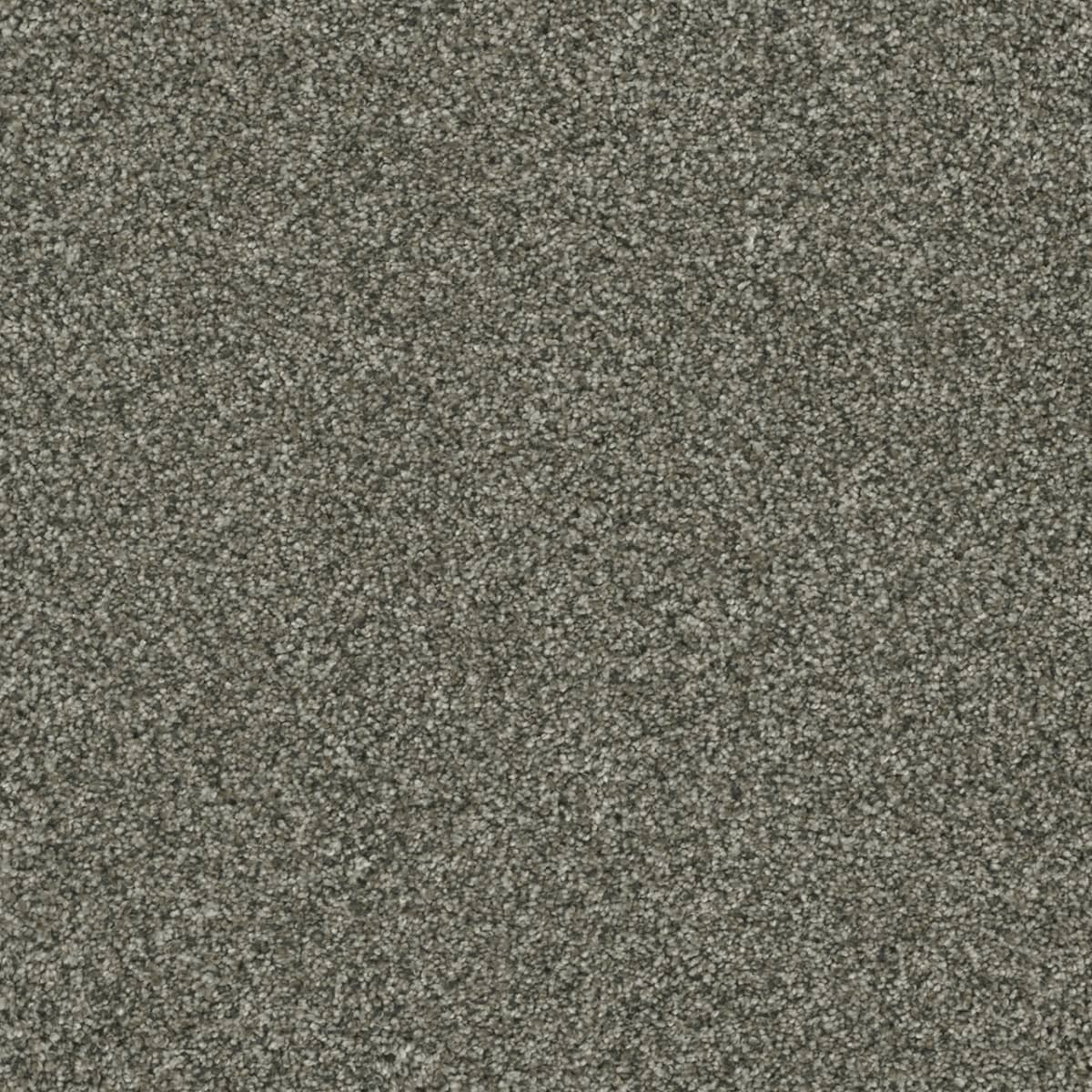 Brazen I Millstone Brazen I Carpet flooring