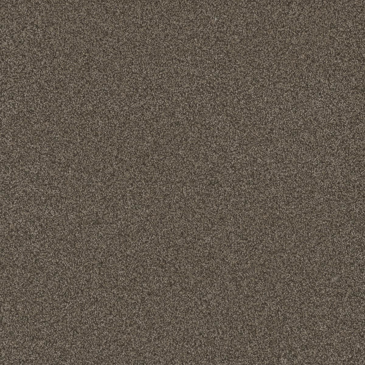 Blazer II French Roast Blazer II Carpet flooring