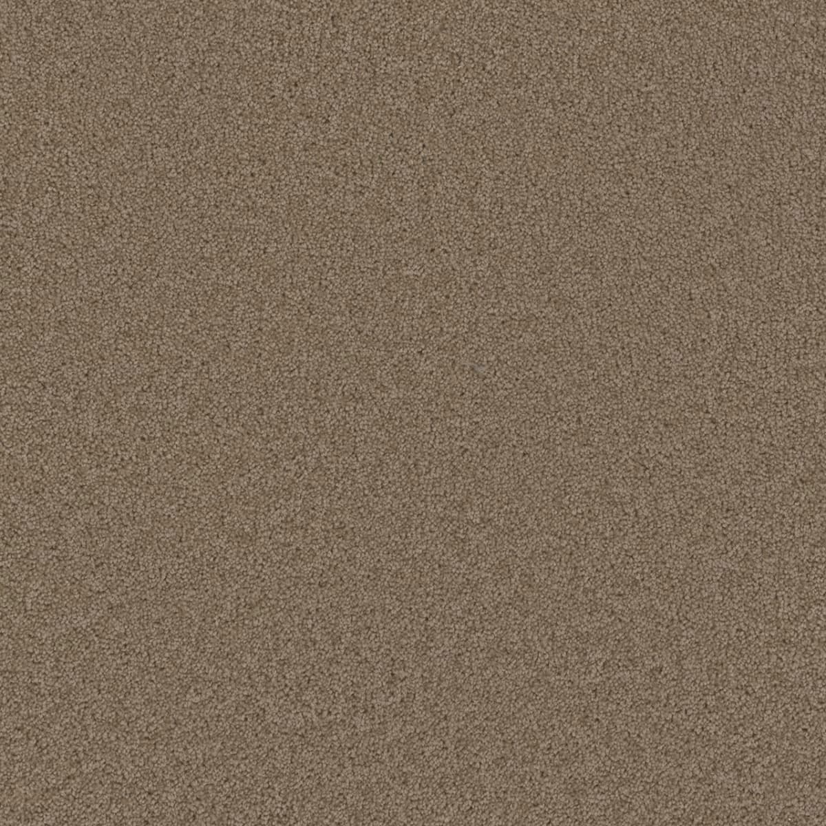 Broadcast Doeskin Broadcast Carpet flooring