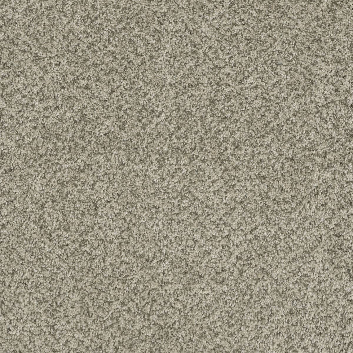 Brazen I Carpet flooring collection