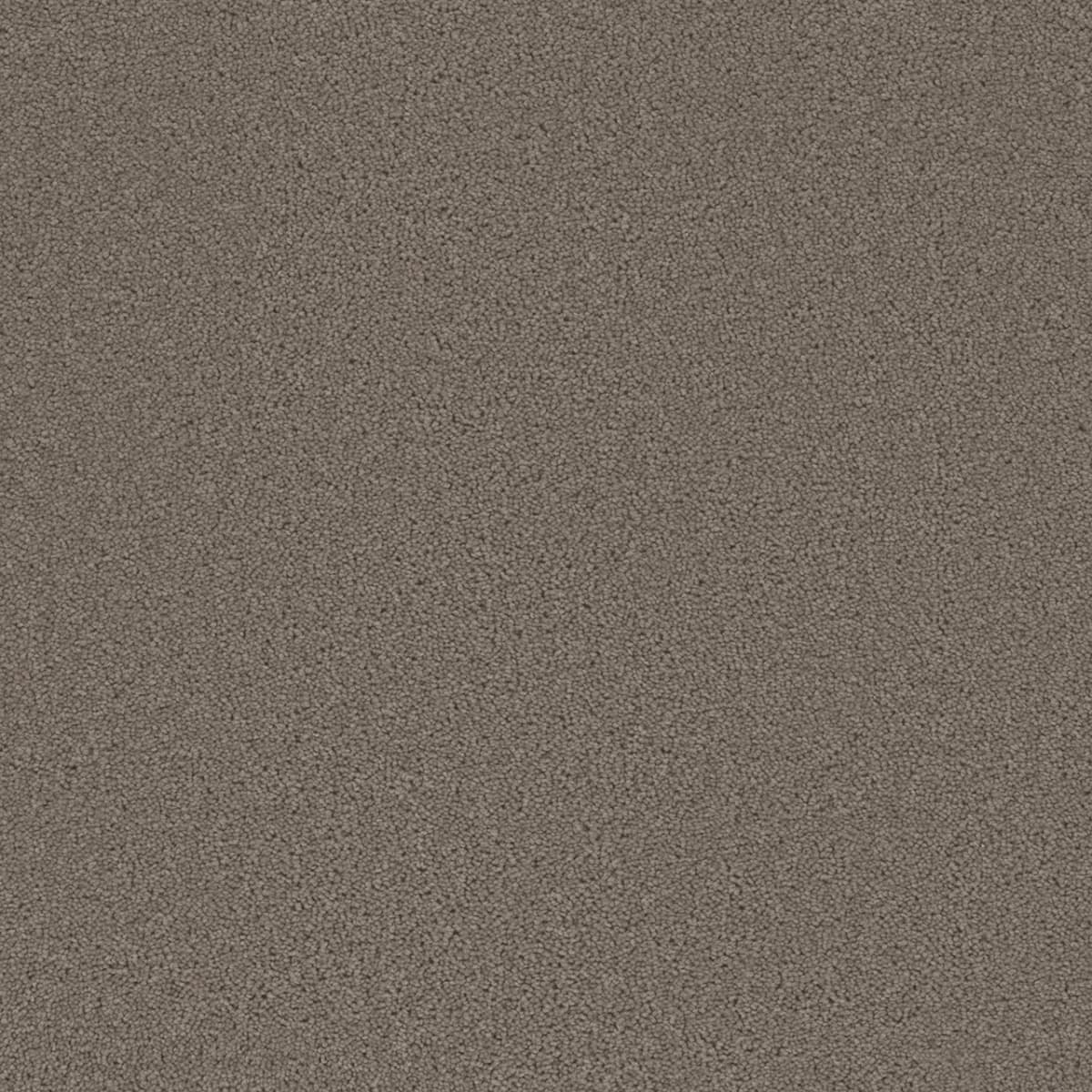 Broadcast Castle Broadcast Carpet flooring