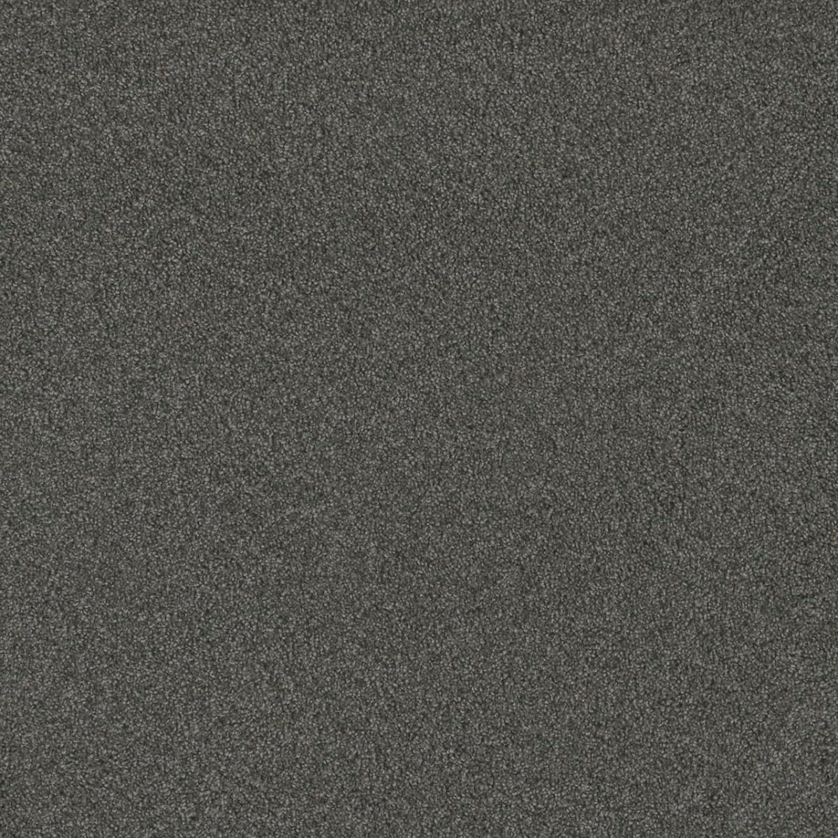 Blazer II Nitro Blazer II Carpet flooring