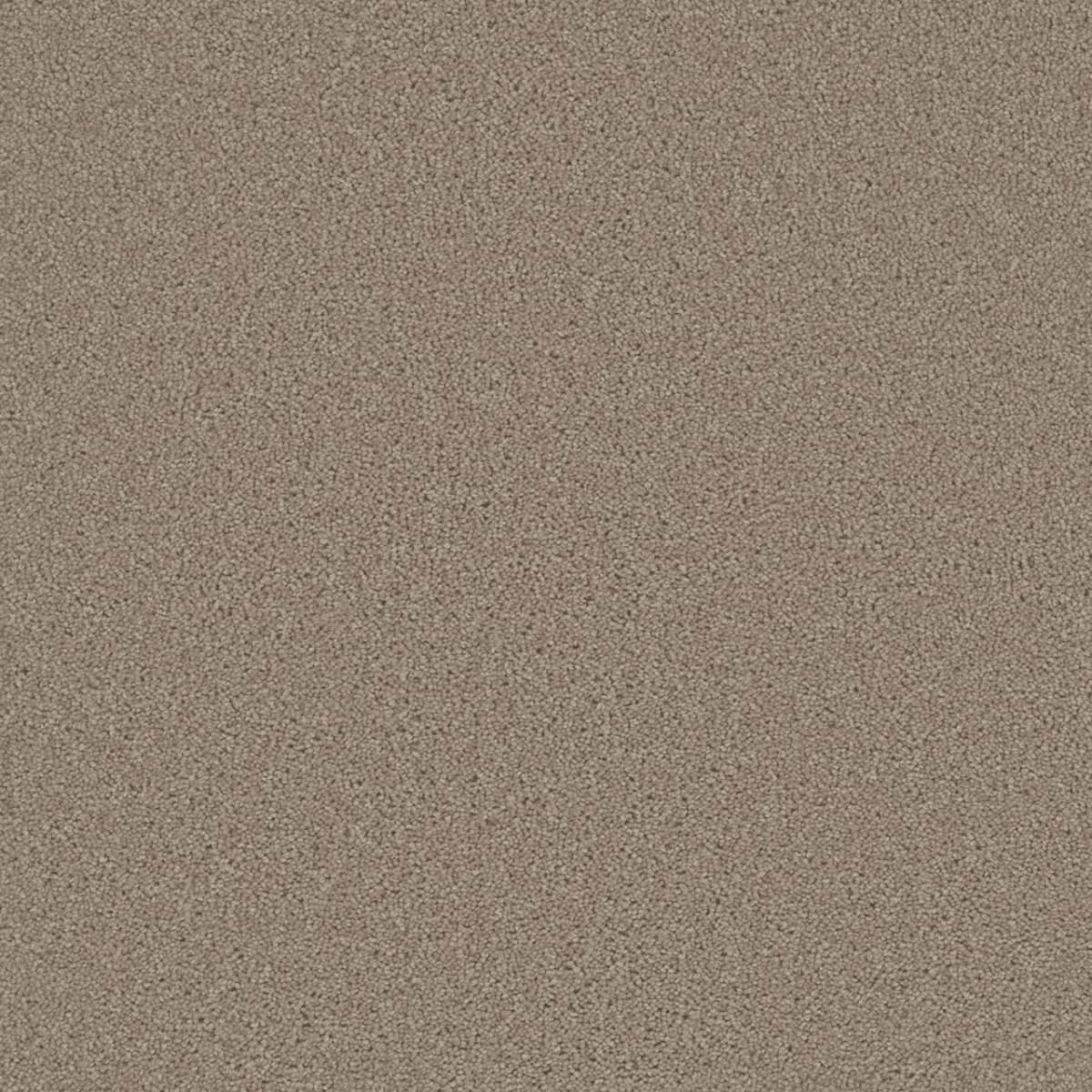 Broadcast Flax Beige Broadcast Carpet flooring