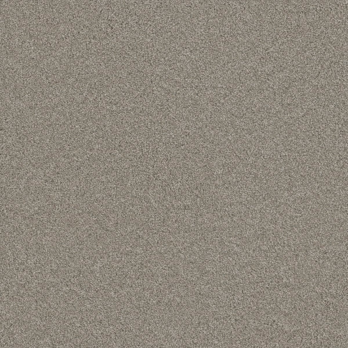 Blazer I Carpet flooring collection