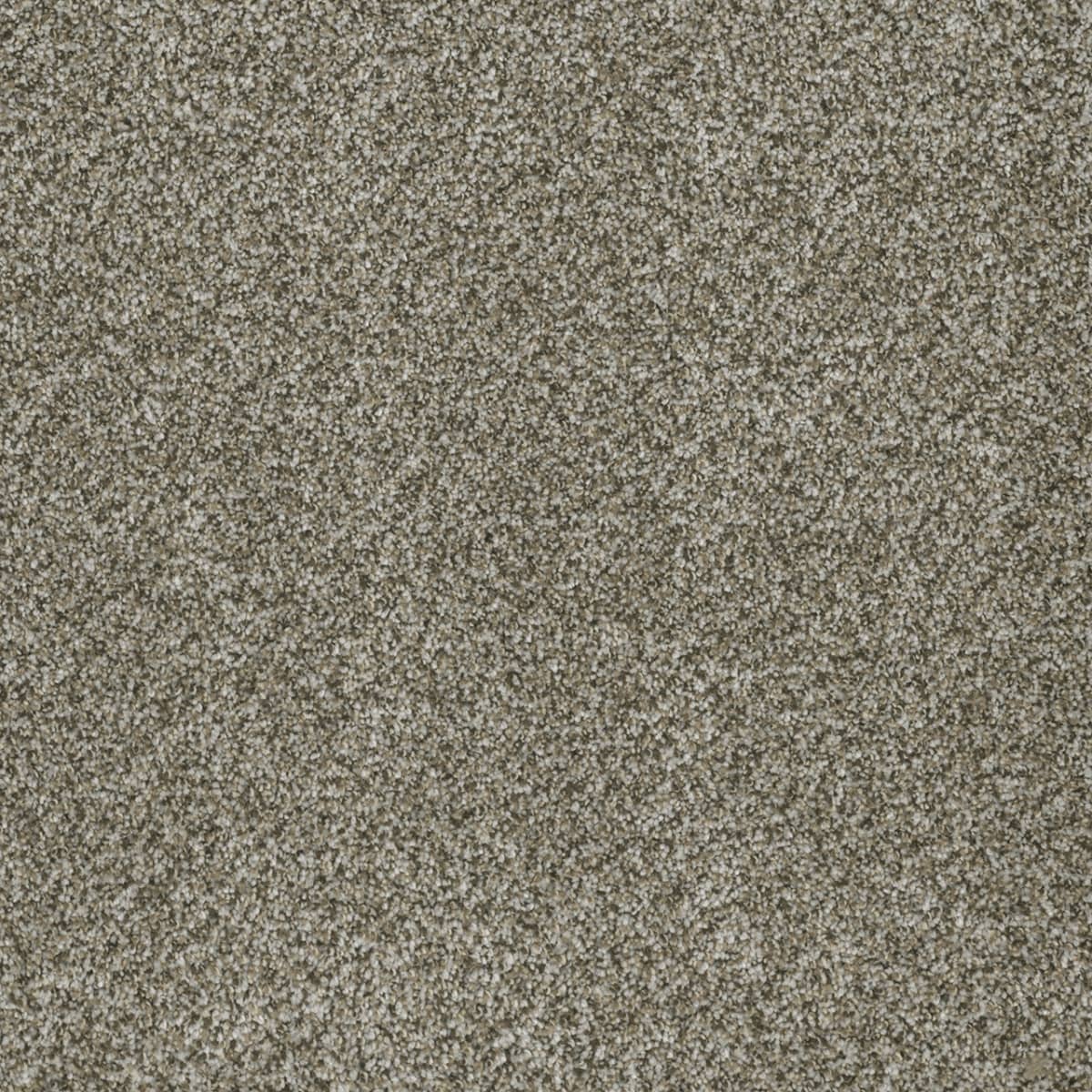 Brazen I Moonshine Brazen I Carpet flooring