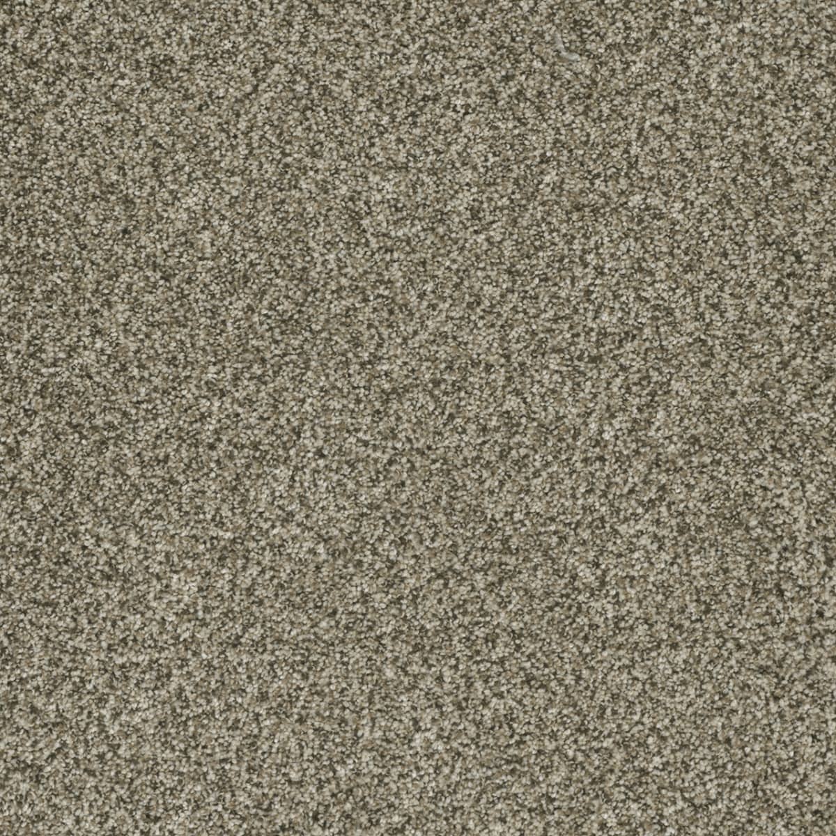 Brazen I Sedona Brazen I Carpet flooring
