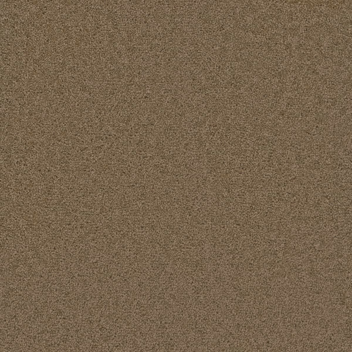 Broadcast Honey Beige Broadcast Carpet flooring