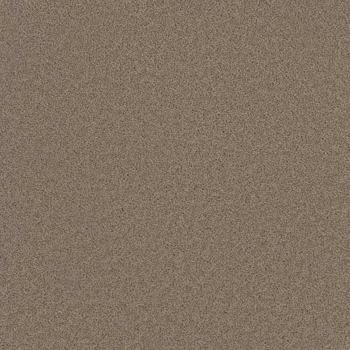 Broadcast Ash Broadcast Carpet flooring