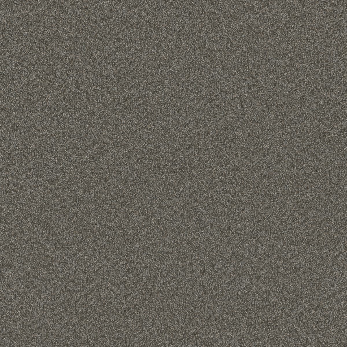 Blazer II Meadow Dance Blazer II Carpet flooring