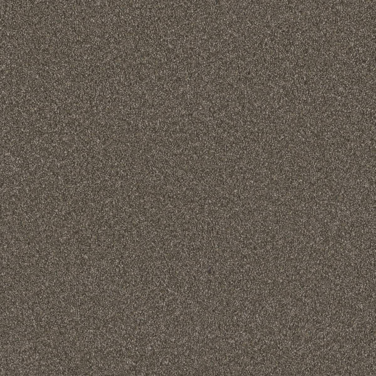 Blazer II Rugby Blazer II Carpet flooring