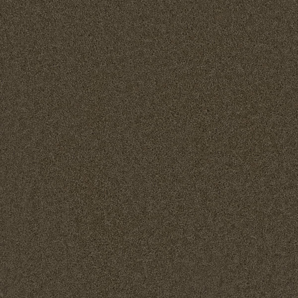 Broadcast Latte Broadcast Carpet flooring