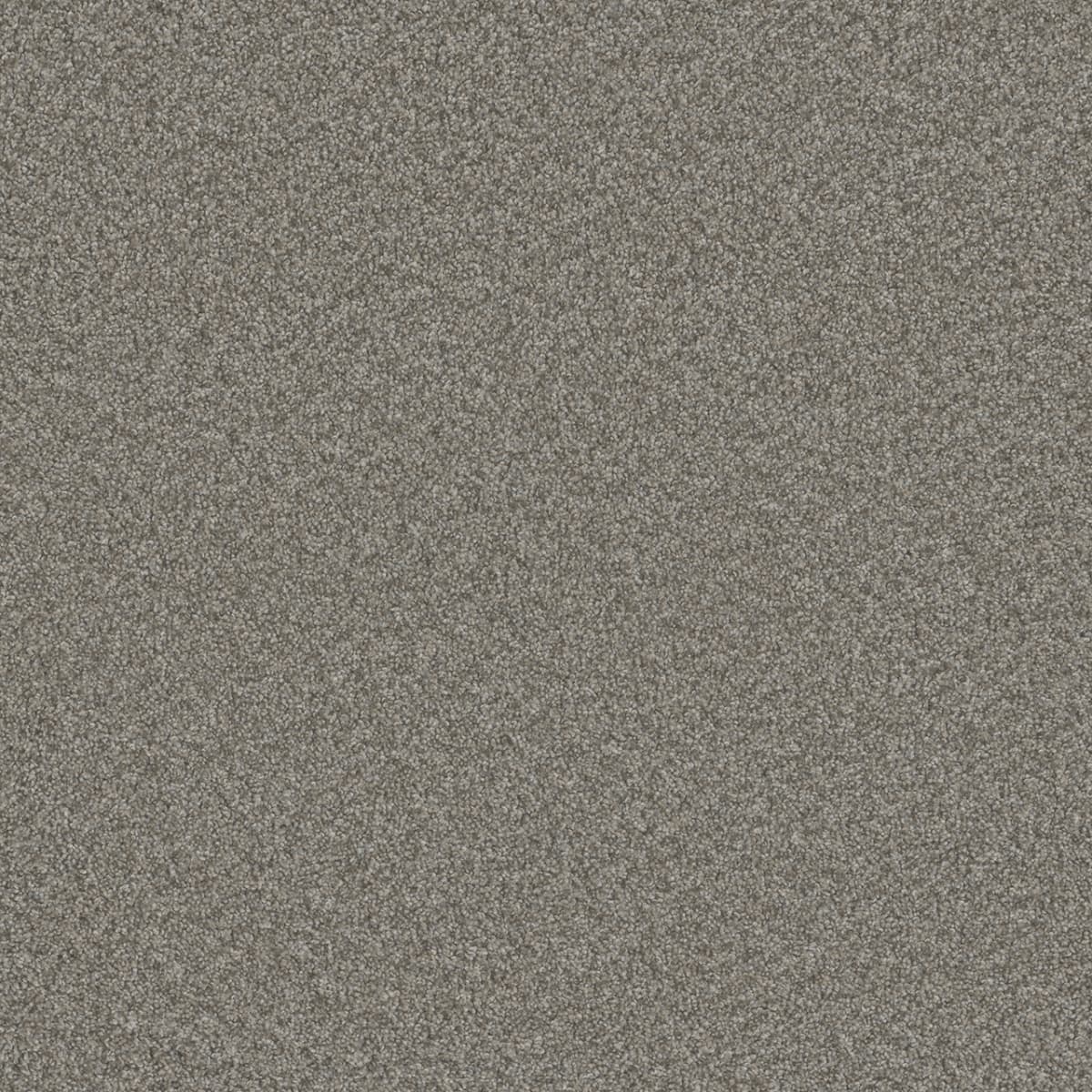 Blazer II Dogwood Blazer II Carpet flooring