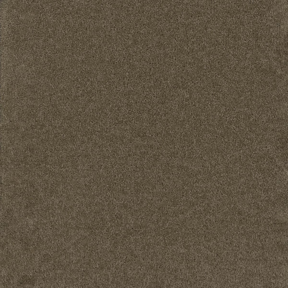 Broadcast Balsam Broadcast Carpet flooring
