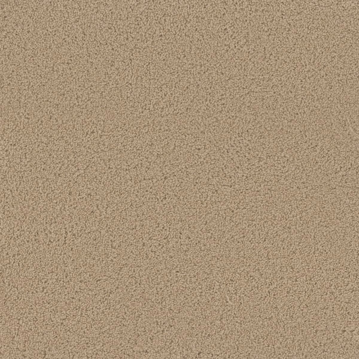 Broadcast Cookie Dough Broadcast Carpet flooring