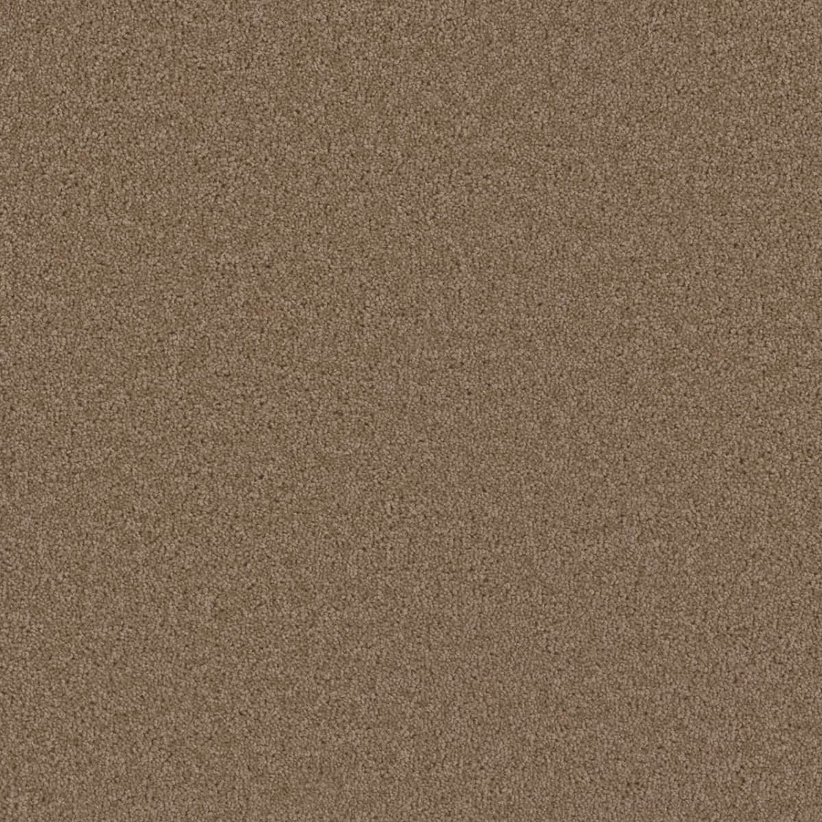 Broadcast Sandstone Broadcast Carpet flooring
