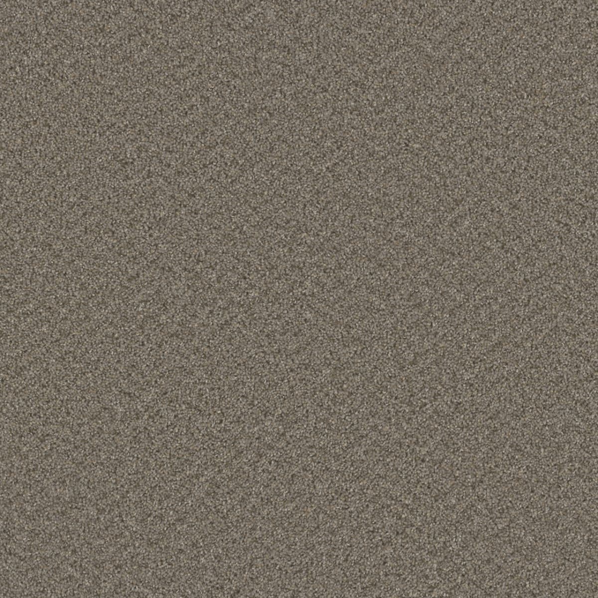 Broadcast Cinder Broadcast Carpet flooring