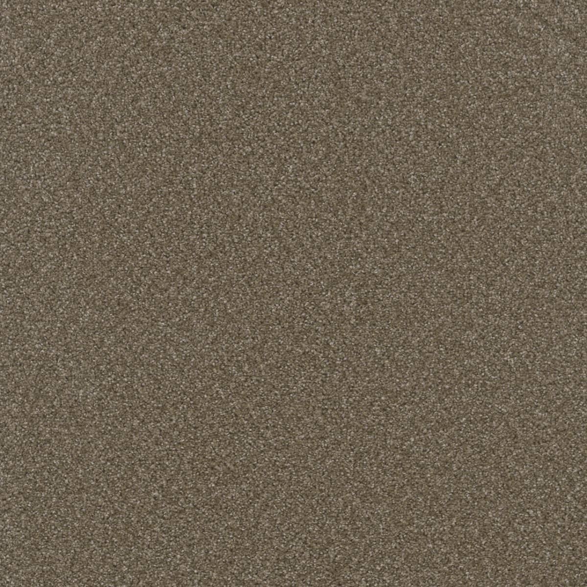 Broadcast Chestnut Broadcast Carpet flooring