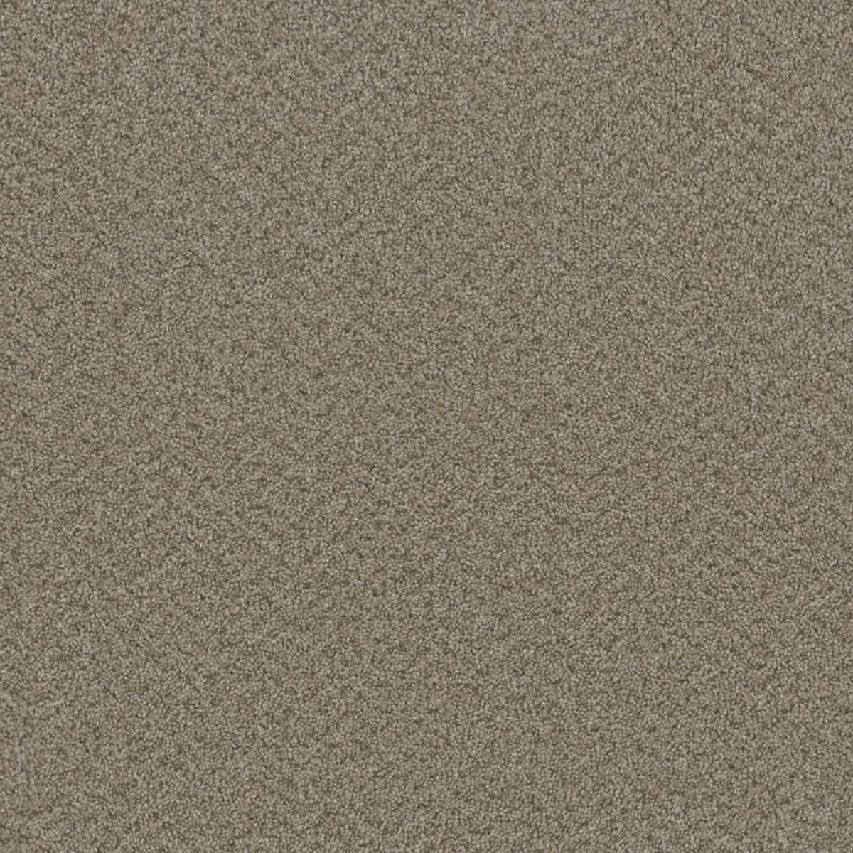 Broadcast Carpet flooring collection