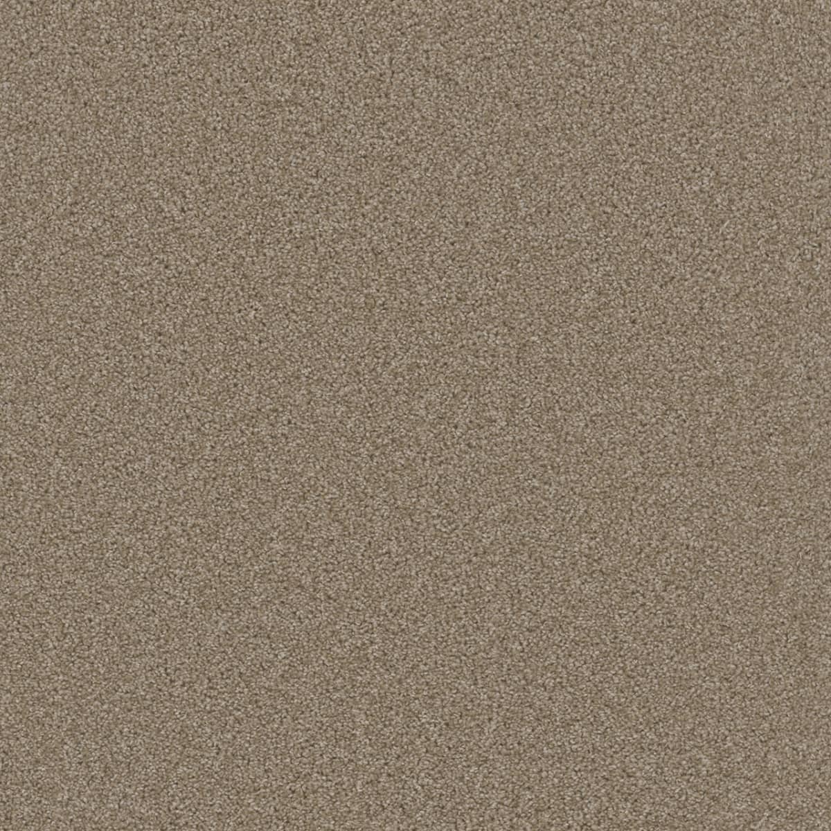 Broadcast Sawgrass Broadcast Carpet flooring