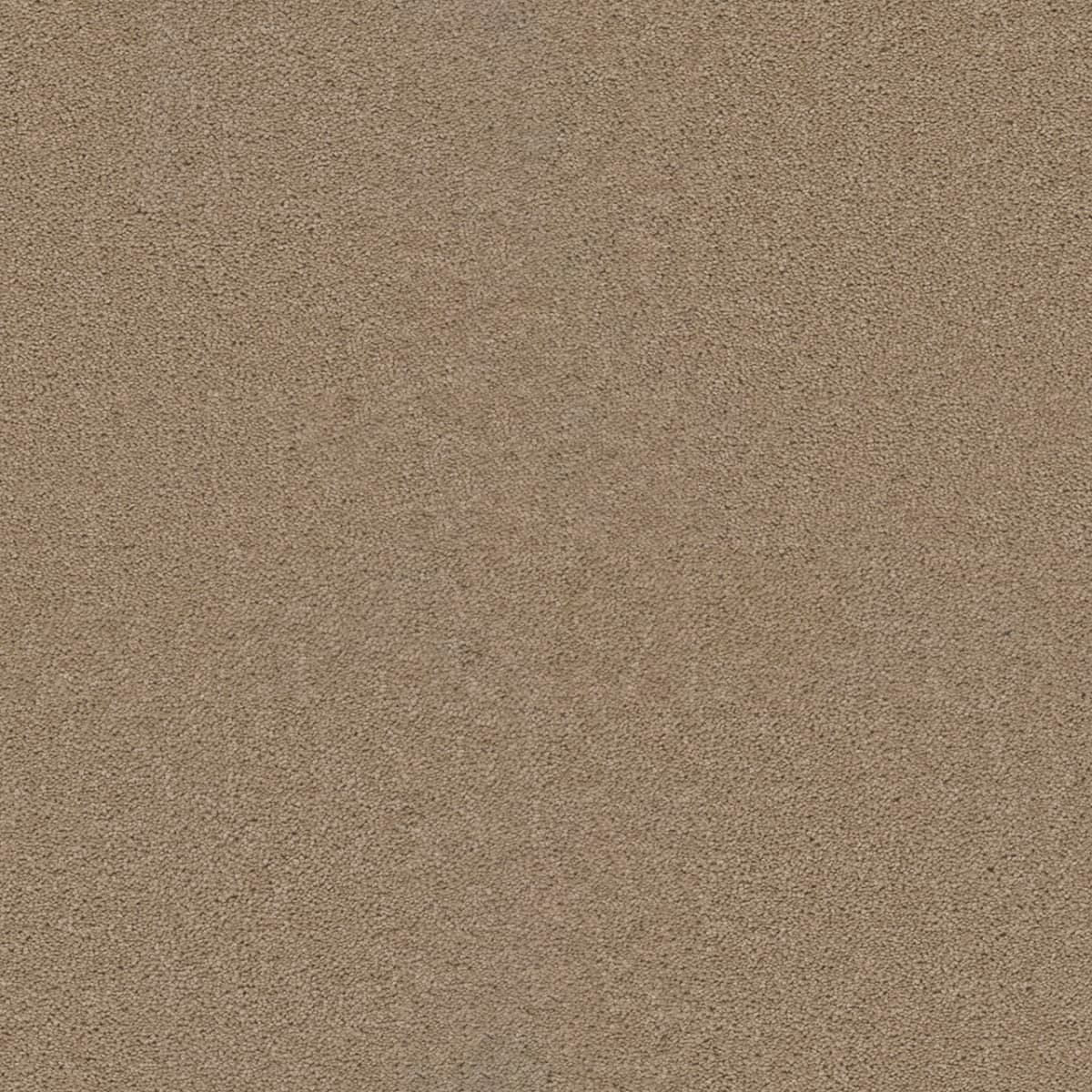 Broadcast Caramel Broadcast Carpet flooring