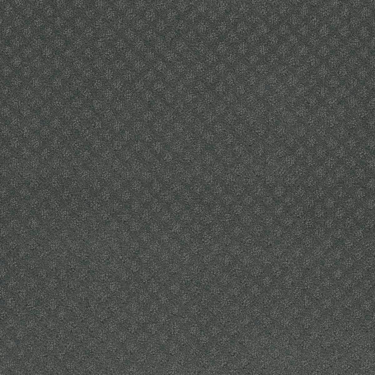 Capri Onyx Waves Capri Collection Carpet flooring