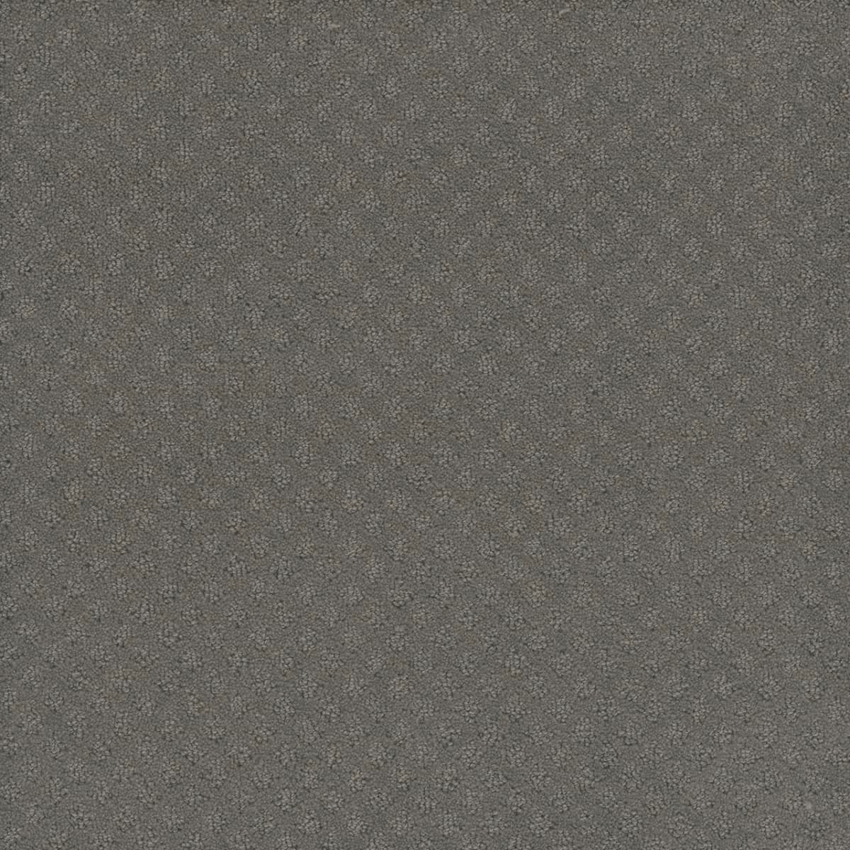Capri Bayside Capri Collection Carpet flooring
