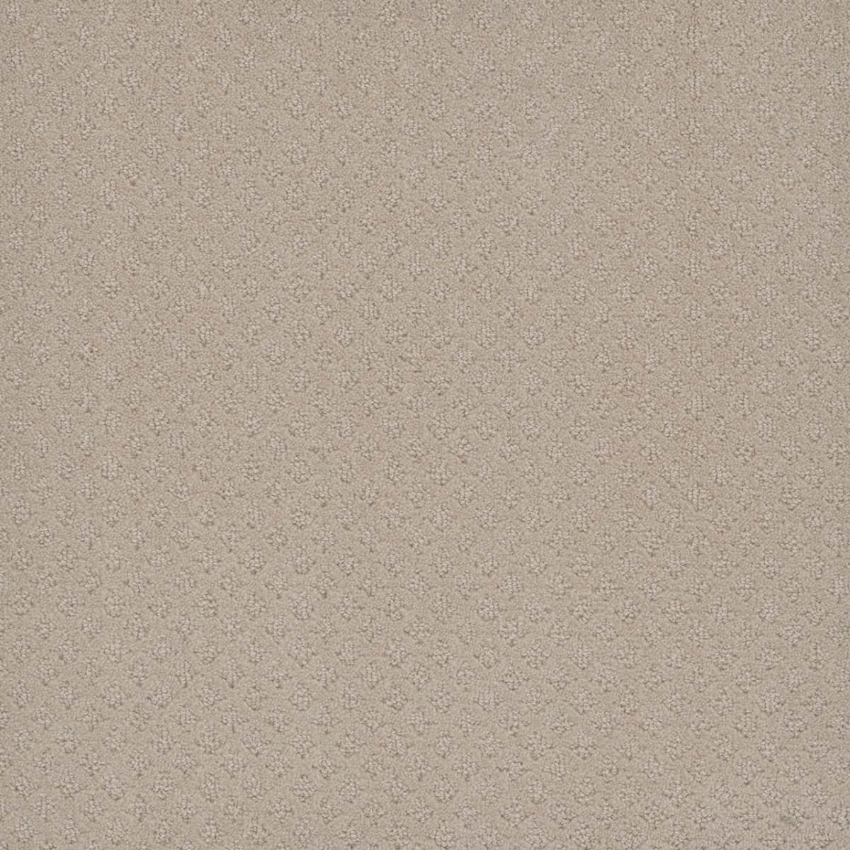 Capri Champagne Fizz Capri Collection Carpet flooring