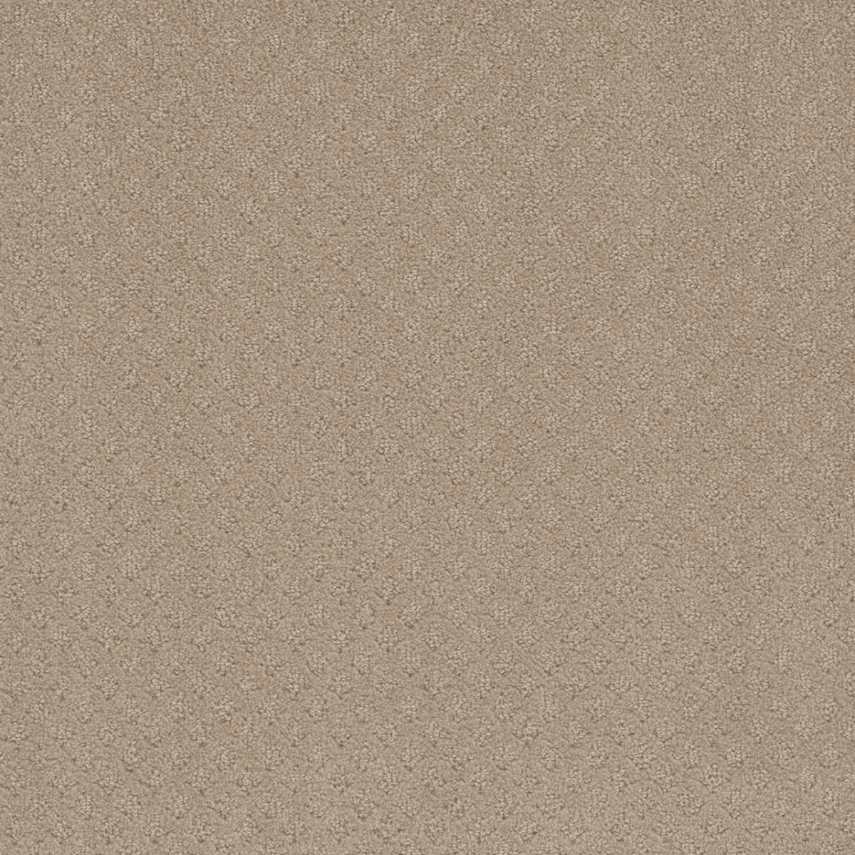 Capri Soft Pine Capri Collection Carpet flooring