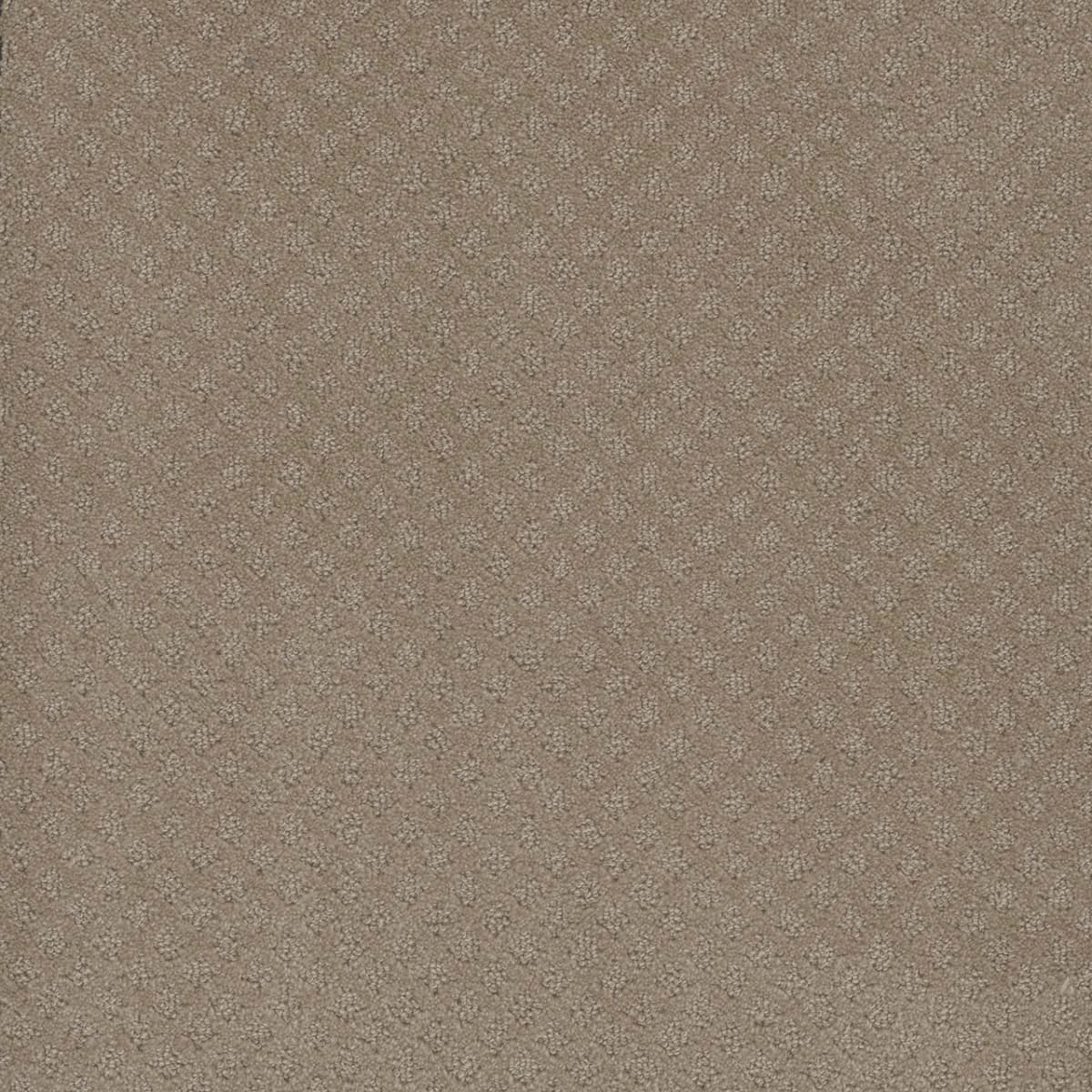 Capri Warm Sand Capri Collection Carpet flooring