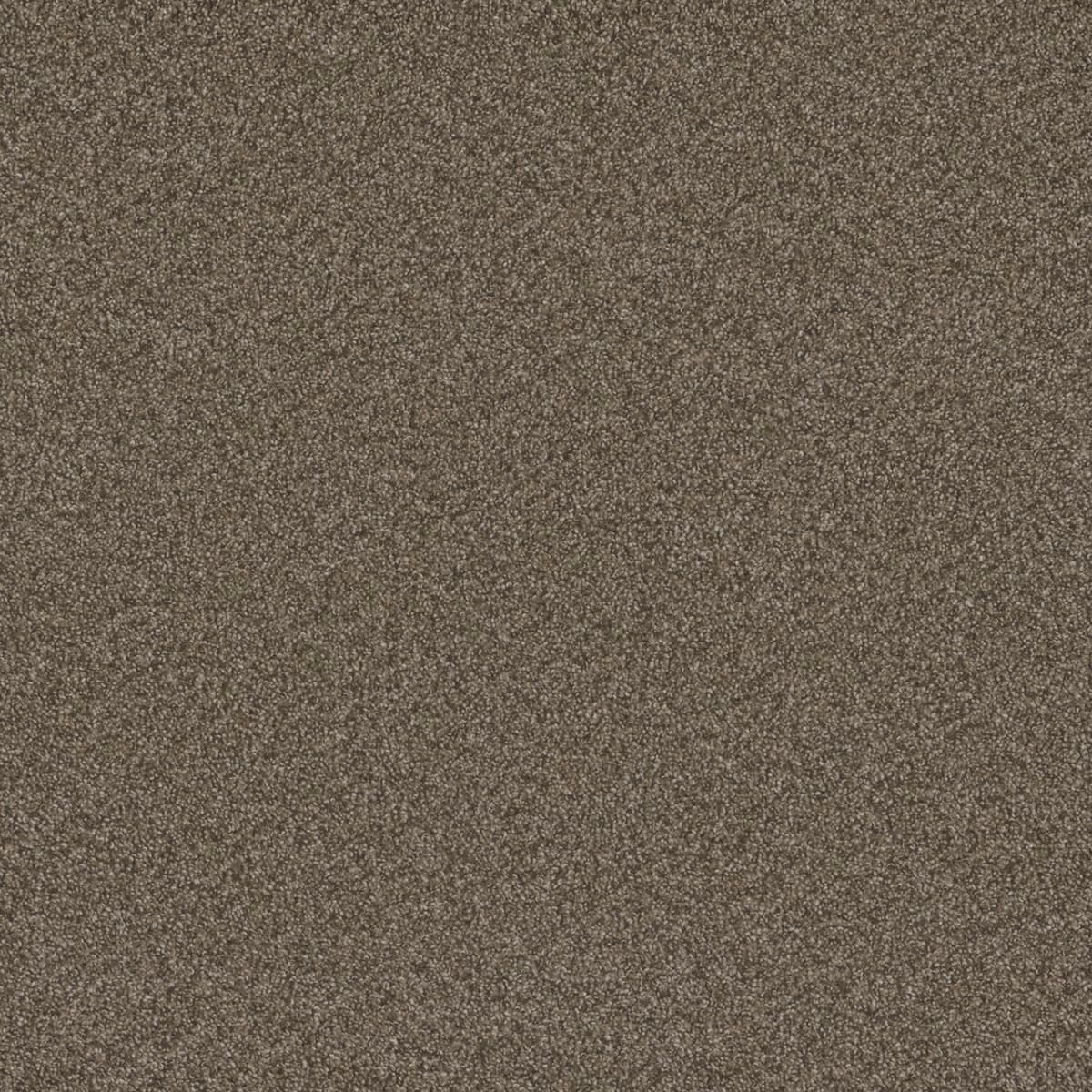 Blazer II Fawn Blazer II Carpet flooring