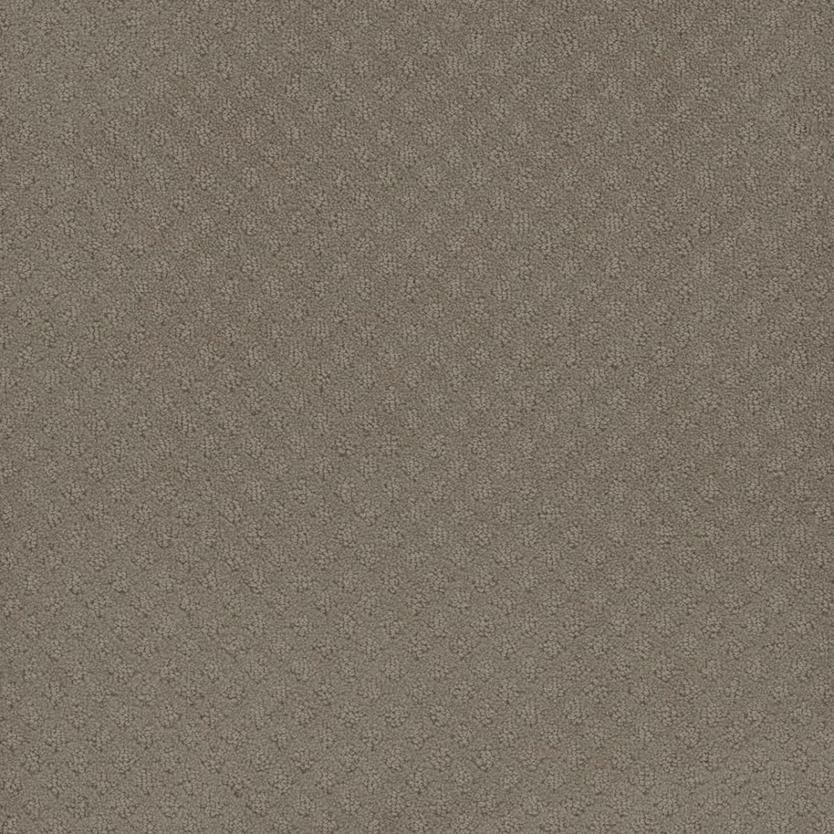 Capri Timber Ridge Capri Collection Carpet flooring
