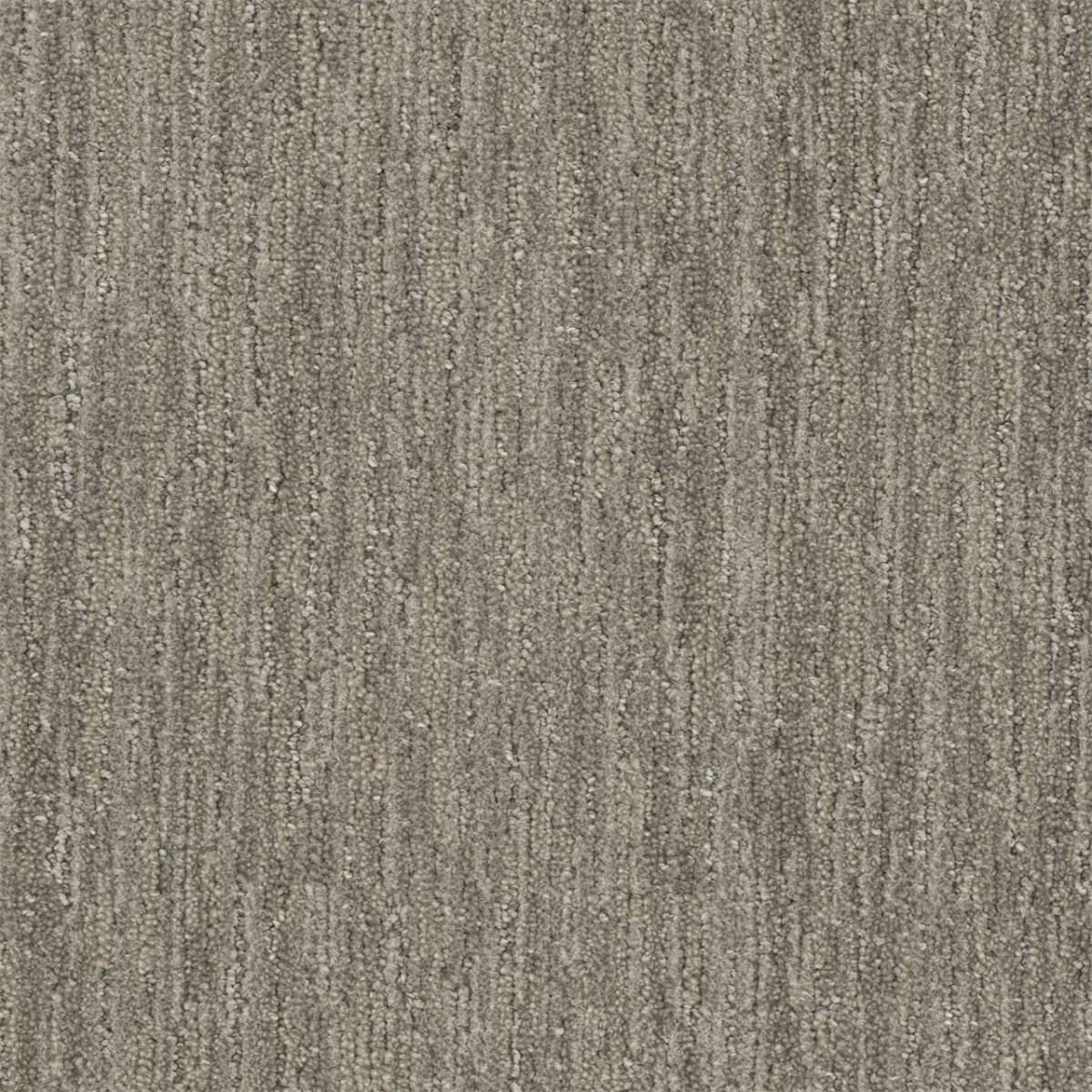 Baja Mexicali Baja Carpet flooring