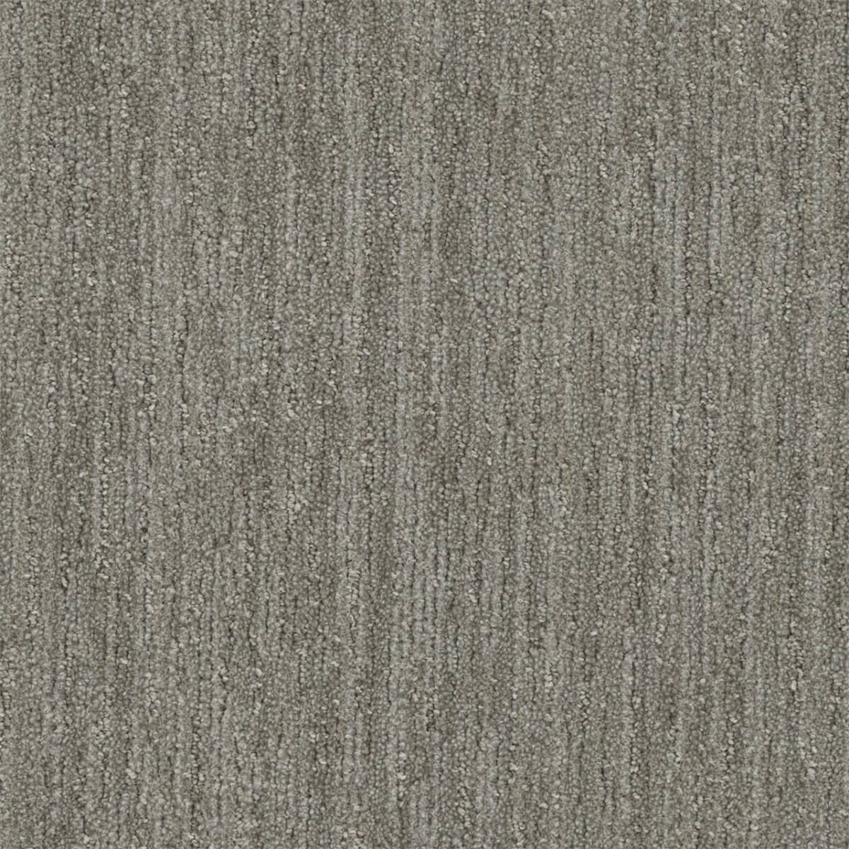 Baja Barrel Cactus Baja Carpet flooring