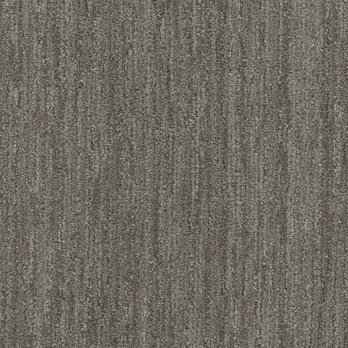 Baja Mesquite Baja Carpet flooring