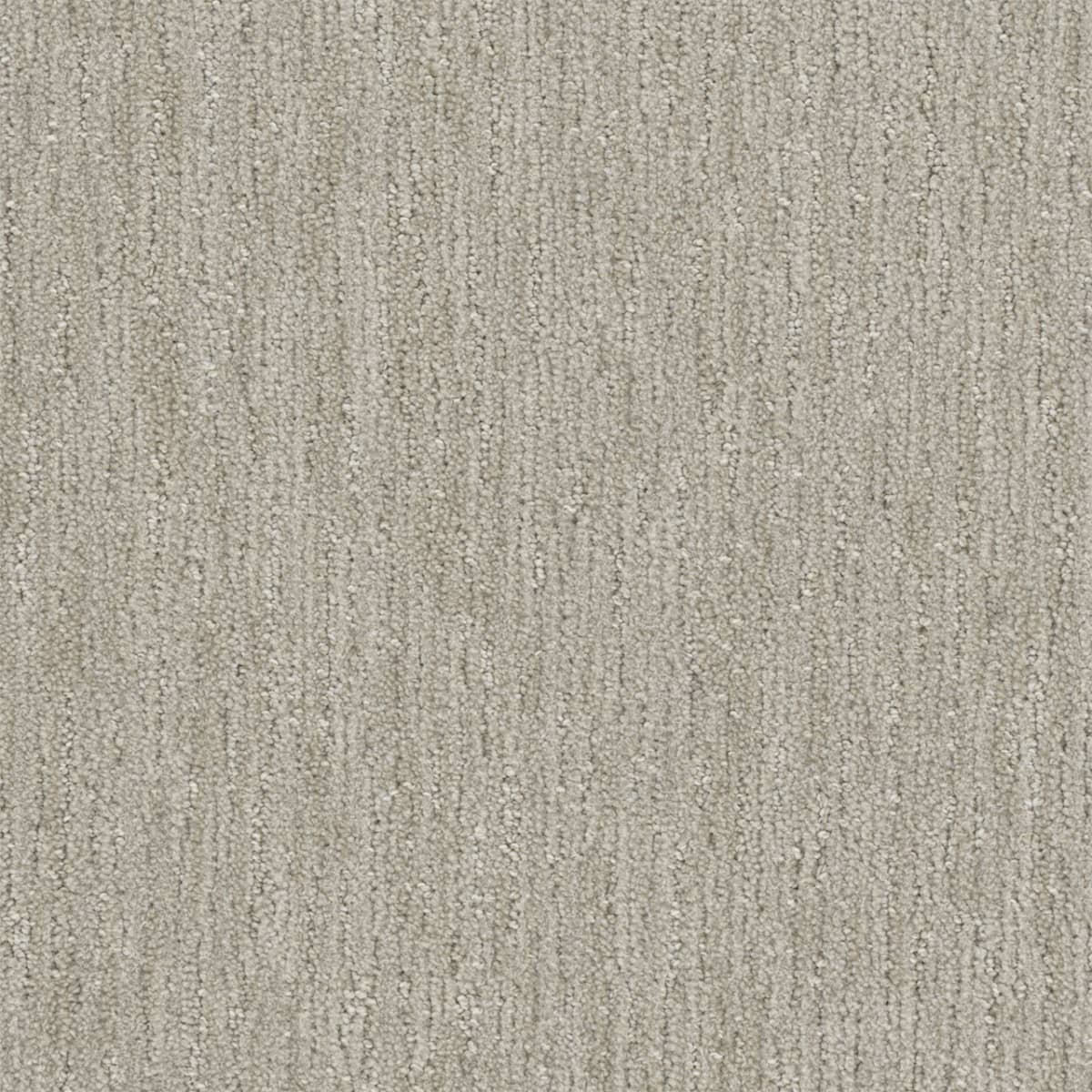 Baja Osprey Baja Carpet flooring