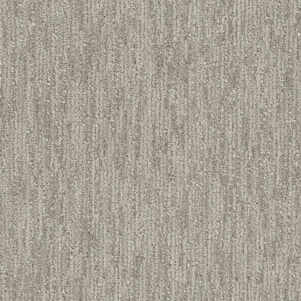 Baja Carpet flooring collection
