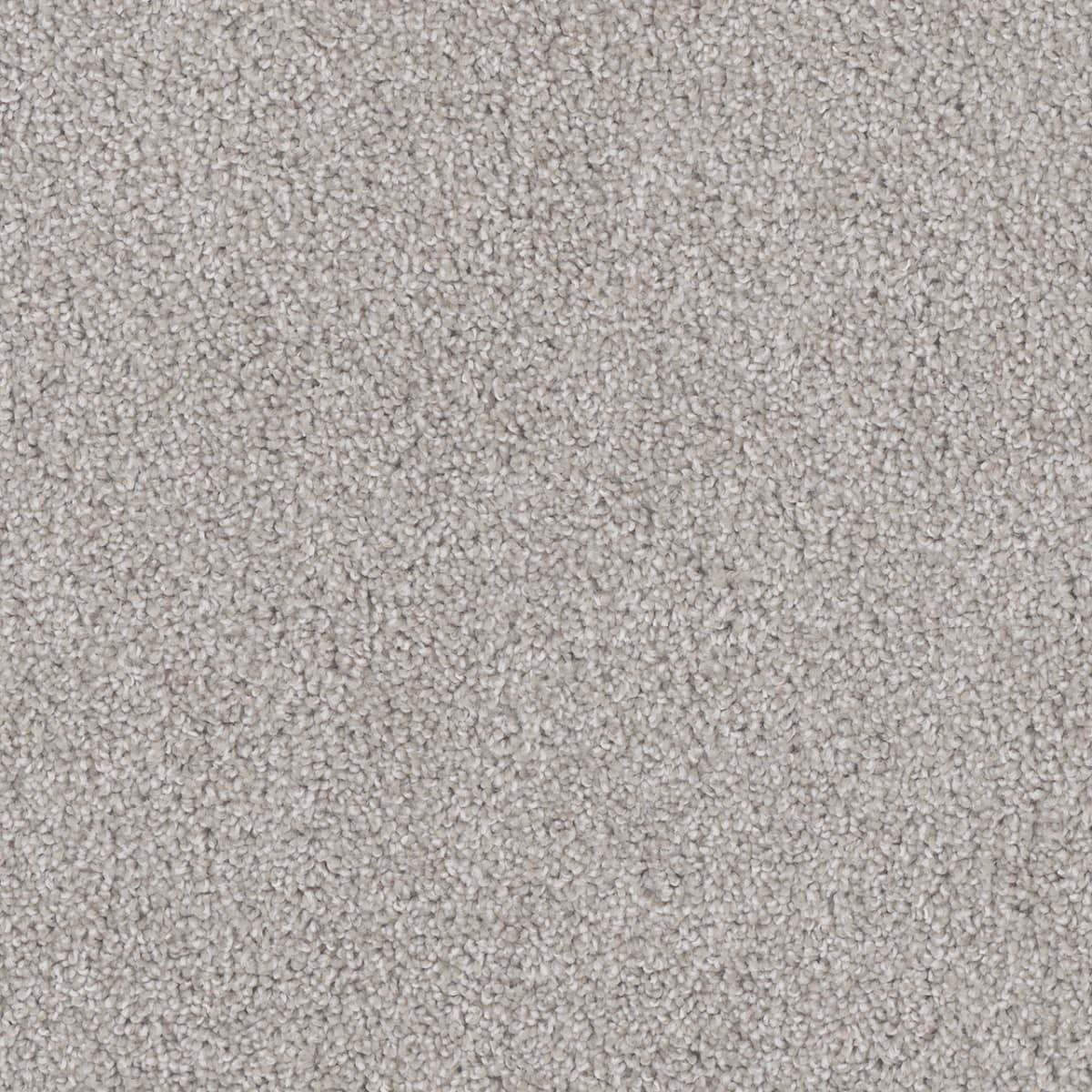 Cedar Creek Clam Shell Cedar Creek Carpet flooring