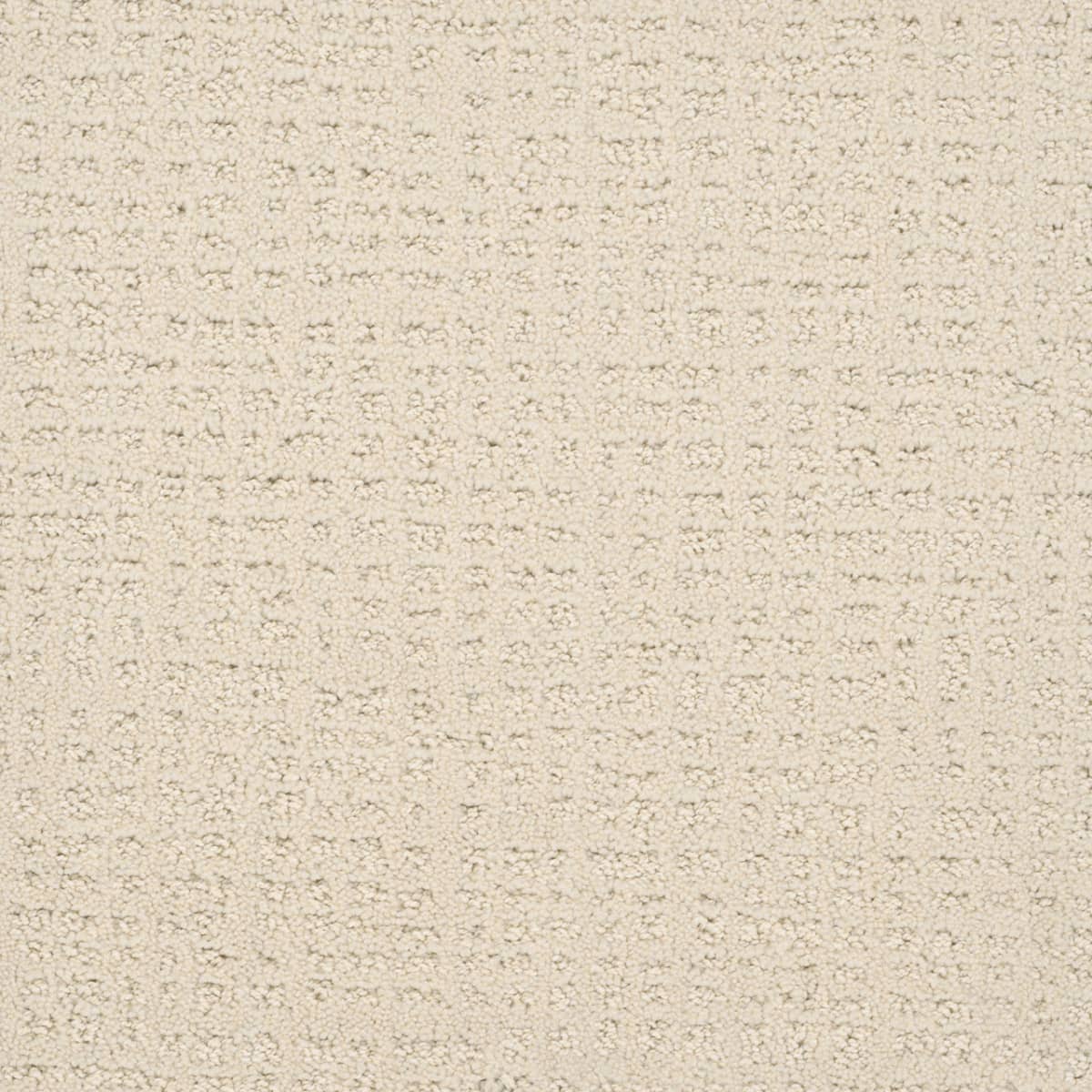 Common Ground Vanilla Fudge Common Ground Carpet flooring