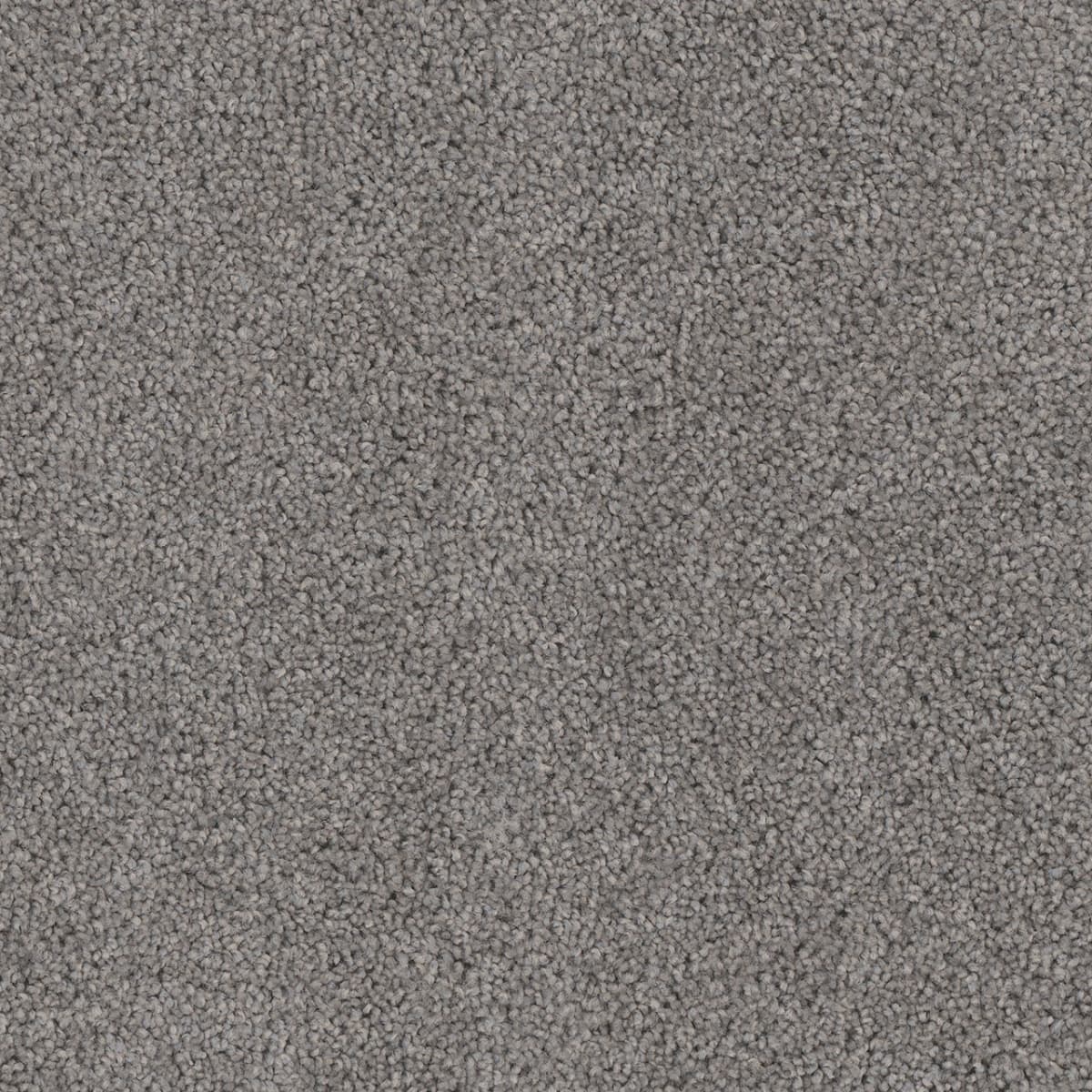 Cedar Creek Bayside Cedar Creek Carpet flooring