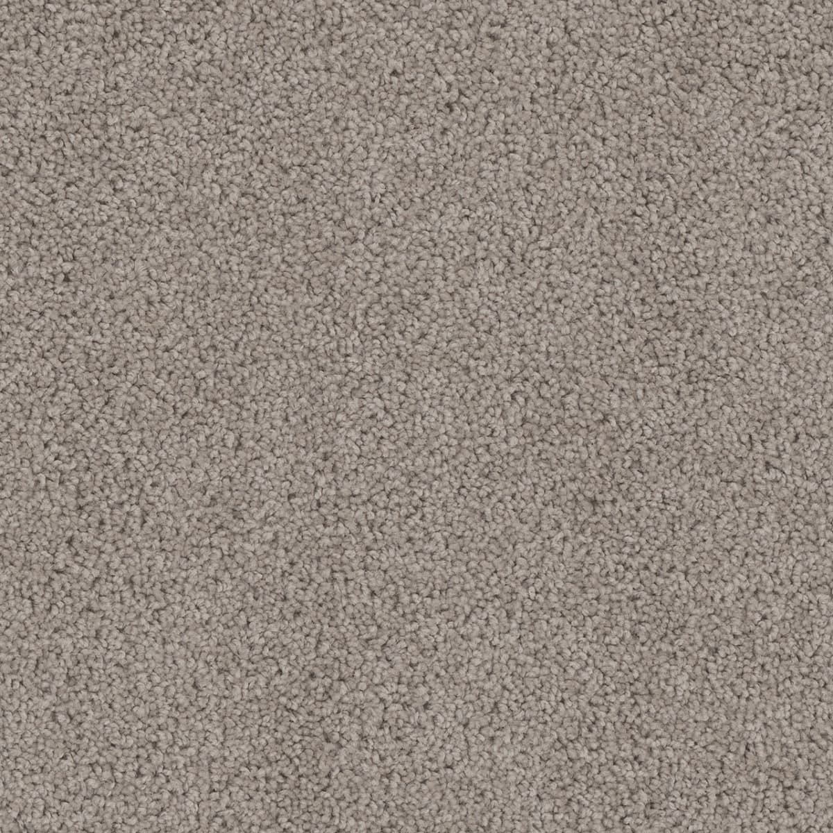 Cedar Creek Castle Cedar Creek Carpet flooring