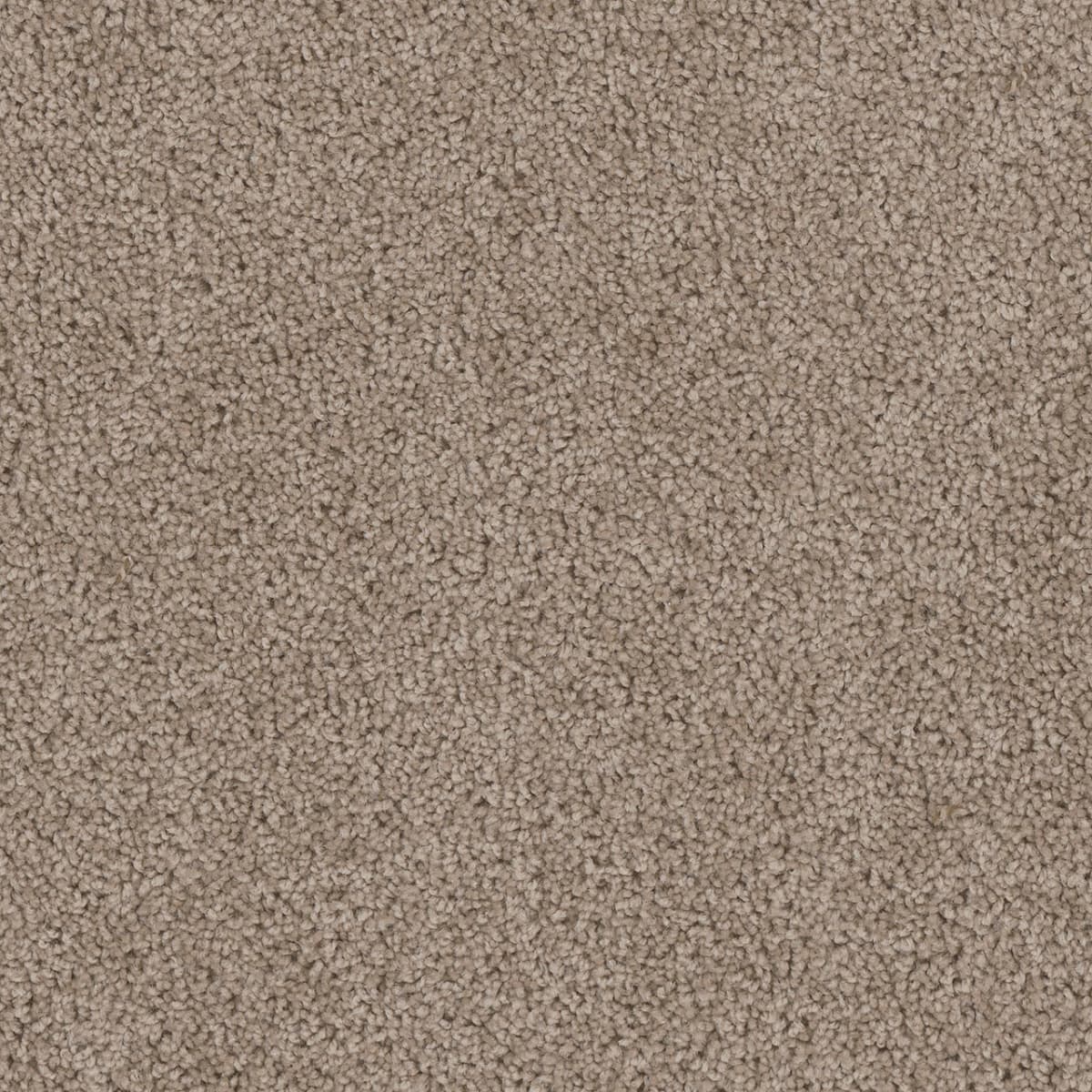 Cedar Creek Carpet flooring collection