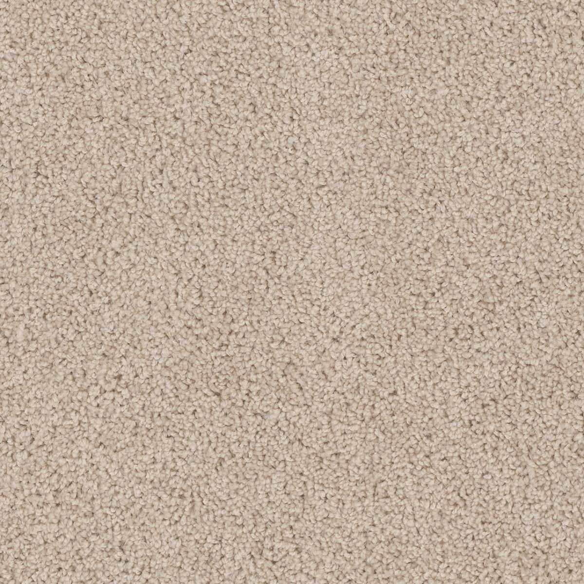 Cedar Creek Eggshell Cedar Creek Carpet flooring