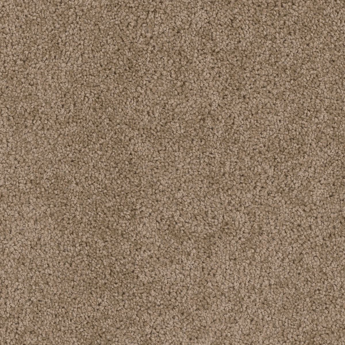 Cedar Creek Dove Cedar Creek Carpet flooring