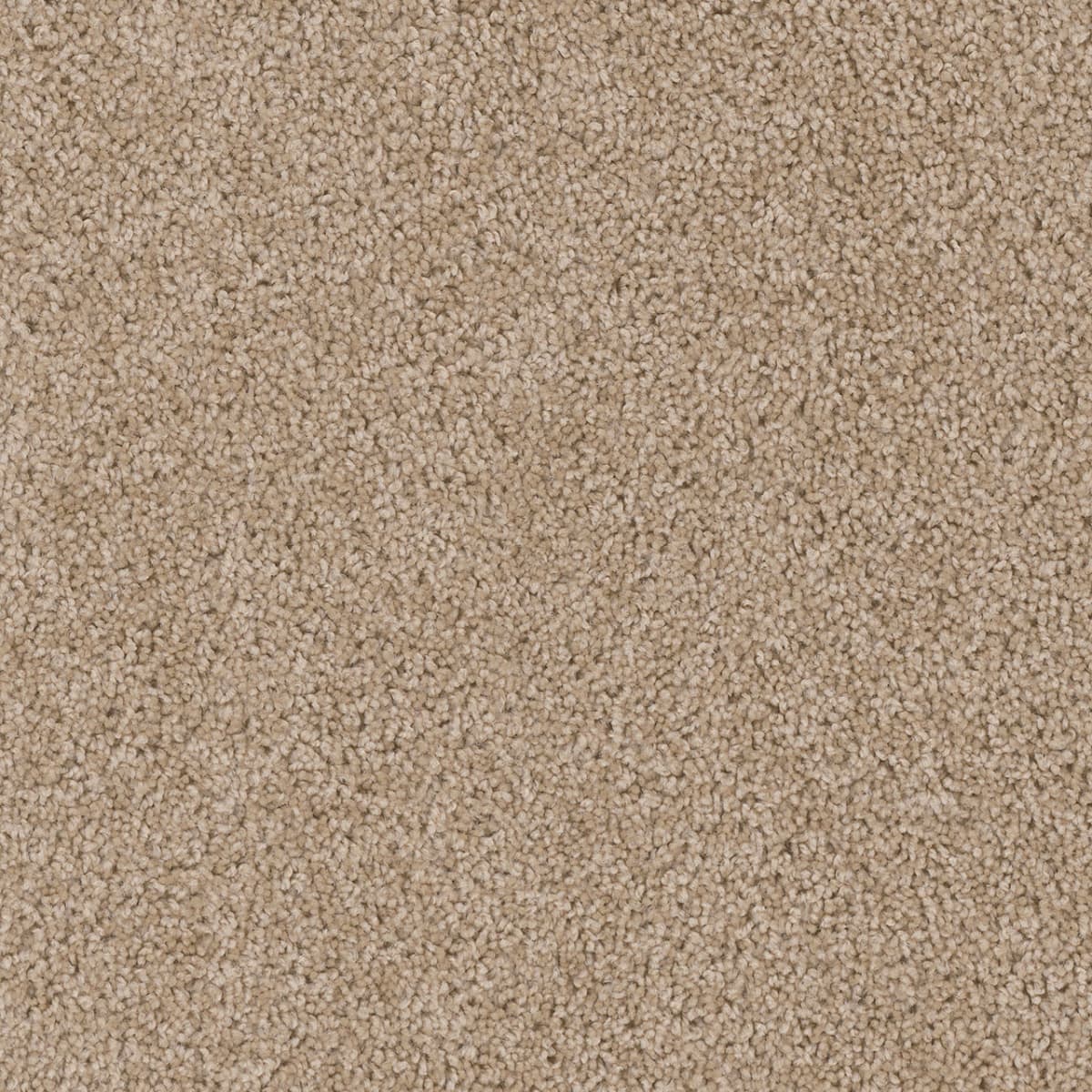 Cedar Creek Camel Cedar Creek Carpet flooring